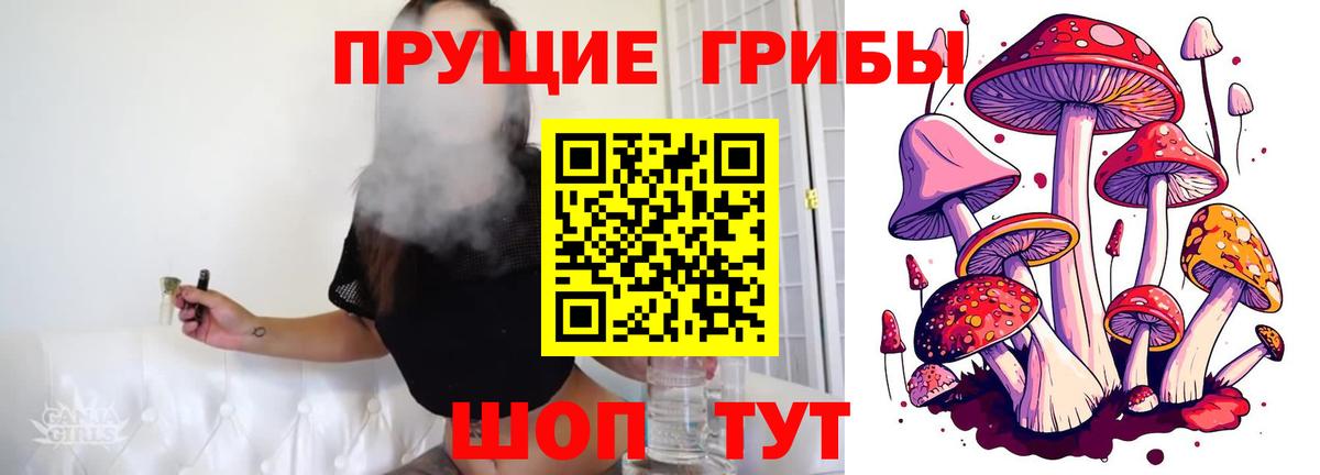 Псилоцибиновые грибы GOLDEN TEACHER Одинцово